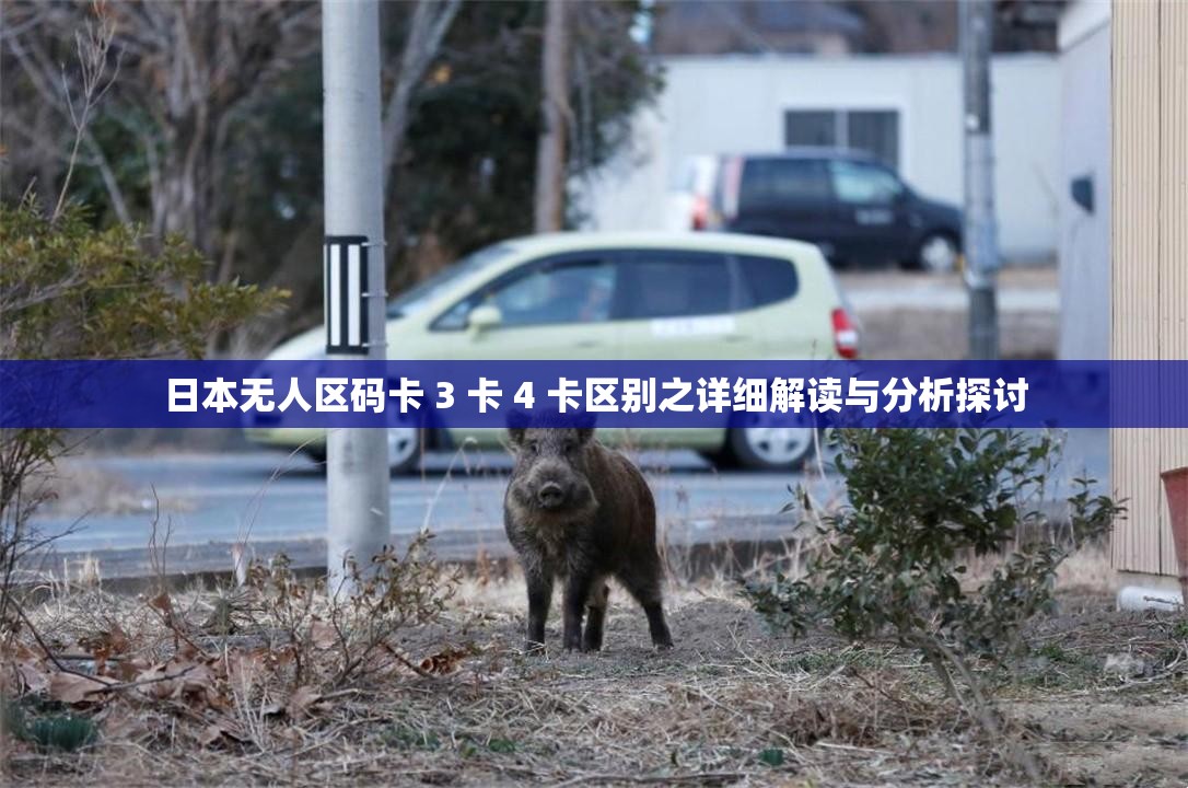 日本無人區(qū)碼卡 3 卡 4 卡區(qū)別之詳細(xì)解讀與分析探討