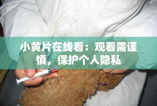 小黃片在線看：觀看需謹慎，保護個人隱私