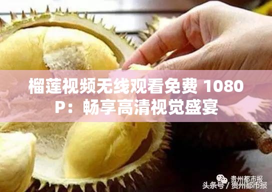 榴蓮視頻無線觀看免費 1080P：暢享高清視覺盛宴