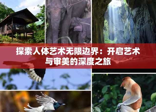 探索人體藝術(shù)無限邊界：開啟藝術(shù)與審美的深度之旅