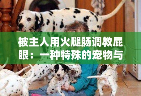 被主人用火腿腸調(diào)教屁眼：一種特殊的寵物與主人之間的互動(dòng)方式