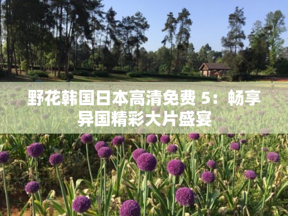 野花韓國日本高清免費(fèi) 5：暢享異國精彩大片盛宴