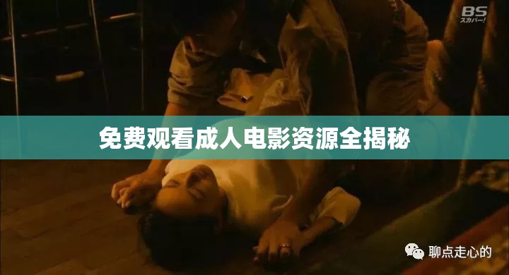 免費(fèi)觀看成人電影資源全揭秘