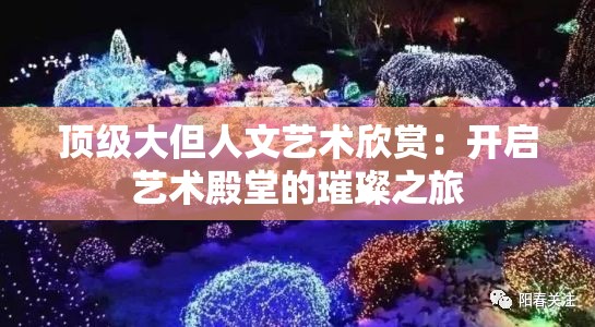 頂級大但人文藝術(shù)欣賞：開啟藝術(shù)殿堂的璀璨之旅