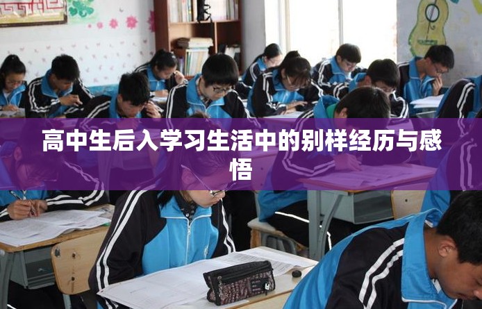 高中生后入學習生活中的別樣經(jīng)歷與感悟
