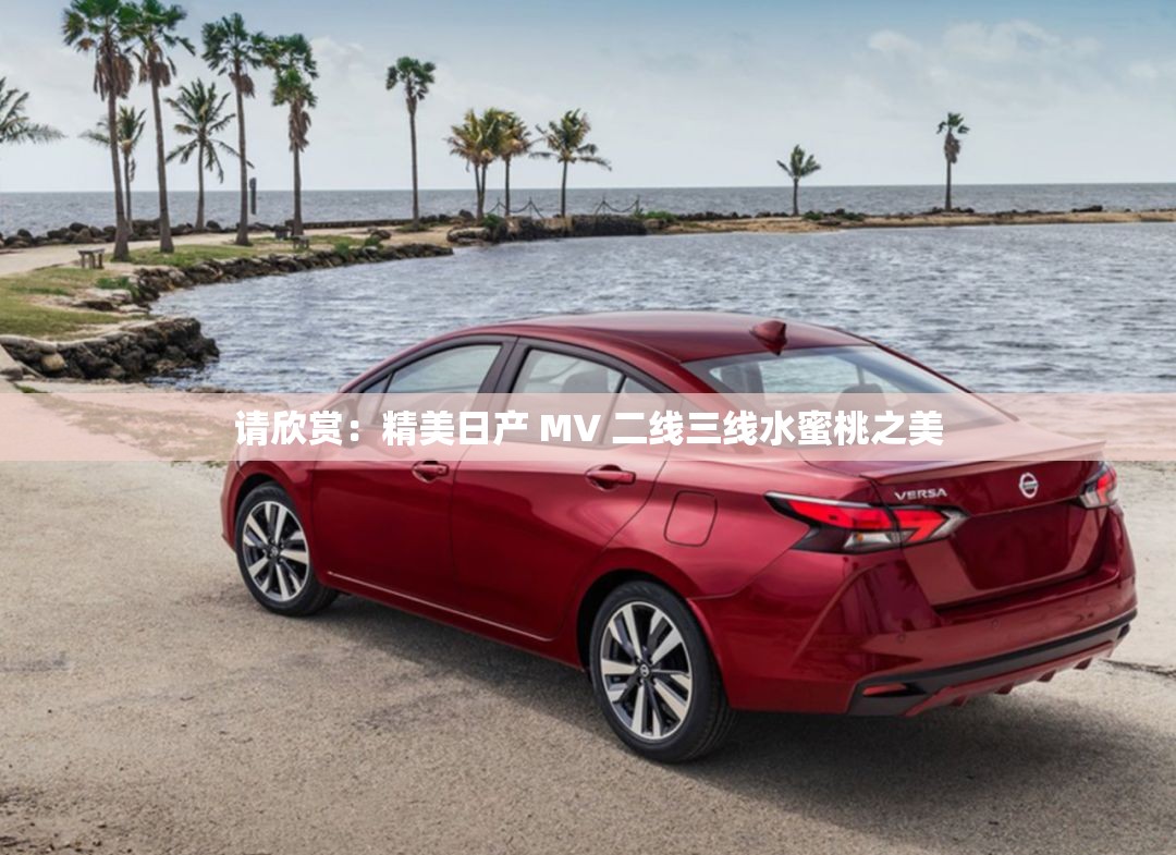請欣賞：精美日產(chǎn) MV 二線三線水蜜桃之美