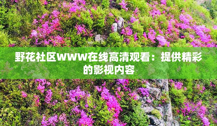 野花社區(qū)WWW在線高清觀看：提供精彩的影視內(nèi)容