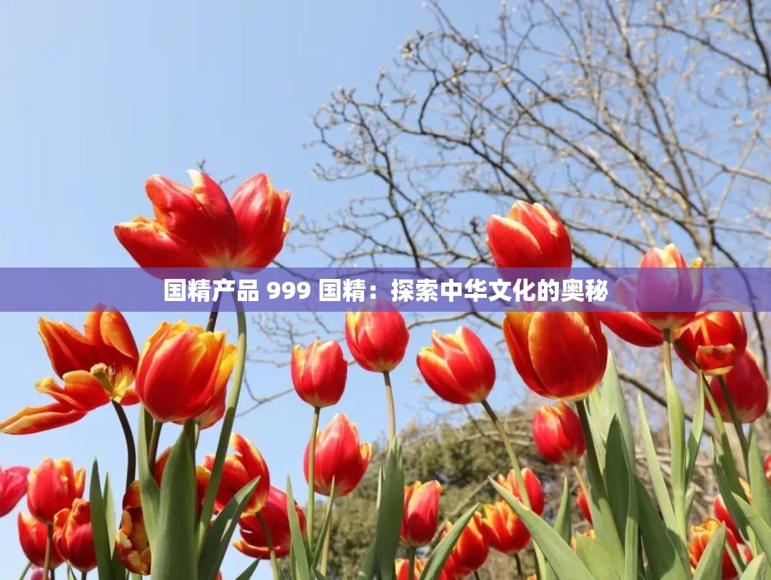 國(guó)精產(chǎn)品 999 國(guó)精：探索中華文化的奧秘