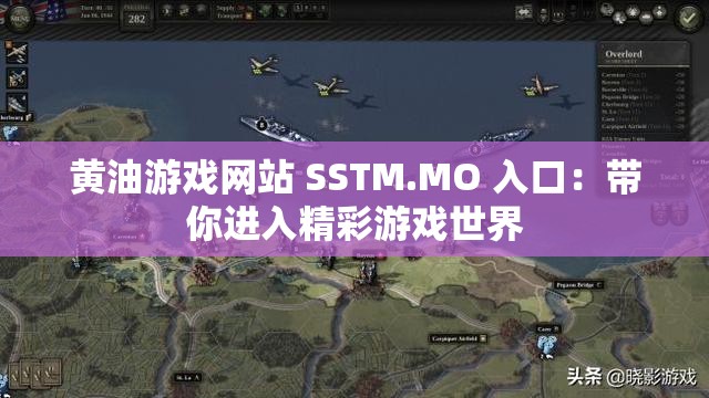 黃油游戲網(wǎng)站 SSTM.MO 入口：帶你進入精彩游戲世界