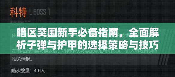 暗區(qū)突圍新手必備指南，全面解析子彈與護(hù)甲的選擇策略與技巧