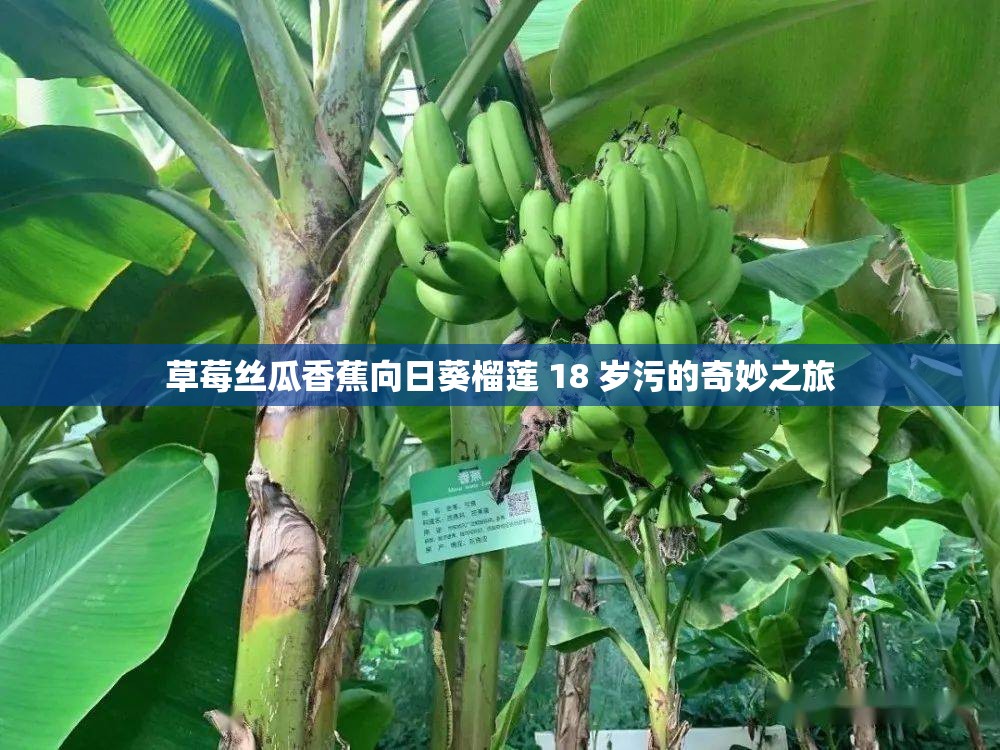 草莓絲瓜香蕉向日葵榴蓮 18 歲污的奇妙之旅