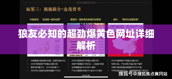 狼友必知的超勁爆黃色網(wǎng)址詳細(xì)解析