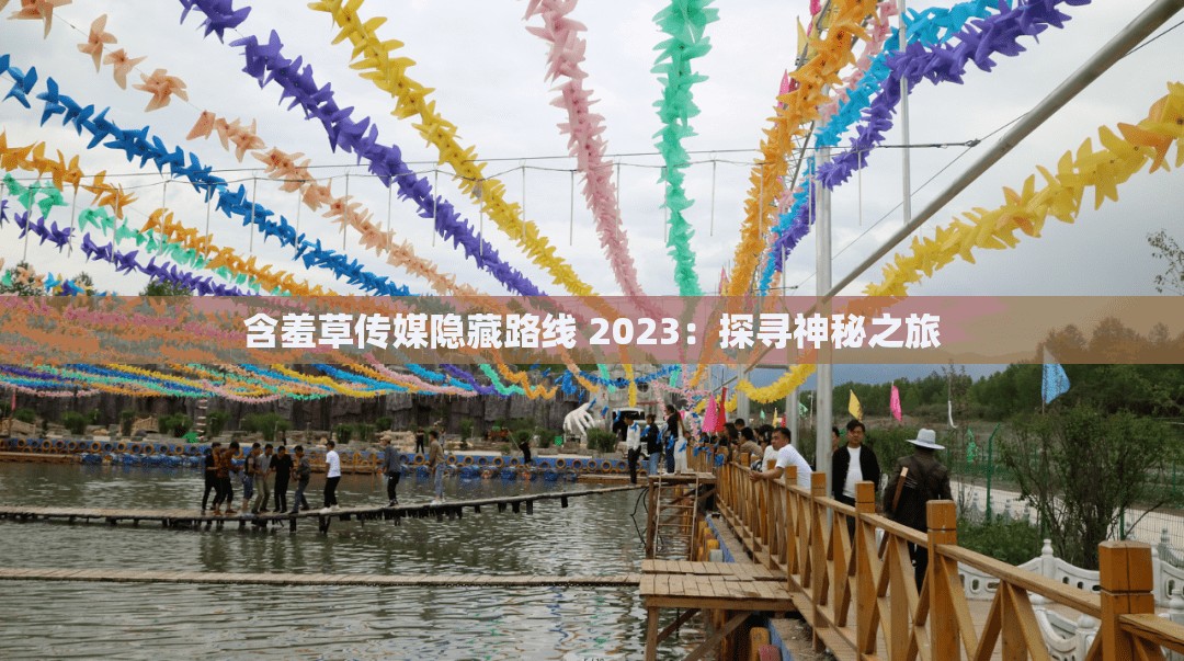 含羞草傳媒隱藏路線 2023：探尋神秘之旅