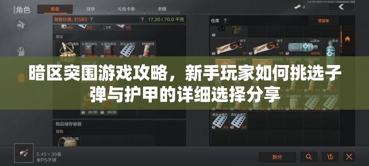暗區(qū)突圍游戲攻略，新手玩家如何挑選子彈與護(hù)甲的詳細(xì)選擇分享