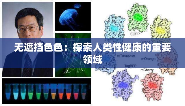 無遮擋色色：探索人類性健康的重要領(lǐng)域