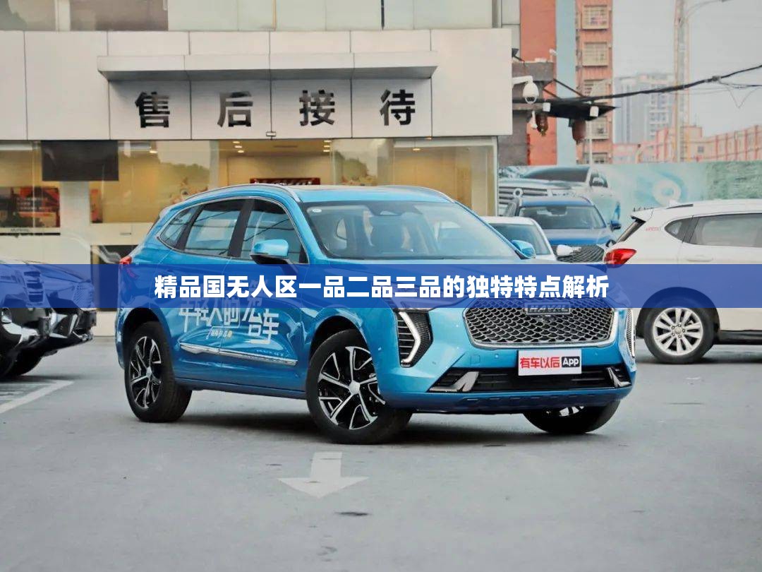 精品國無人區(qū)一品二品三品的獨(dú)特特點(diǎn)解析