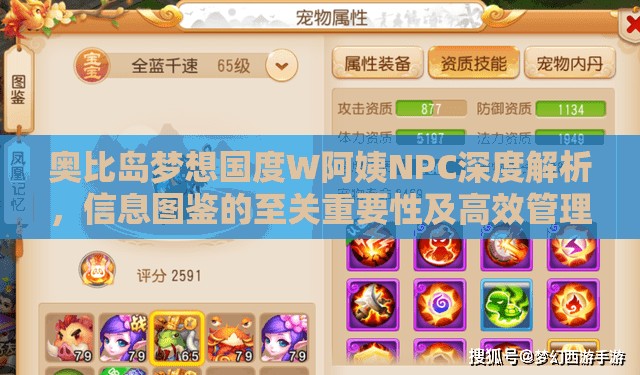 奧比島夢(mèng)想國(guó)度W阿姨N(yùn)PC深度解析，信息圖鑒的至關(guān)重要性及高效管理技巧