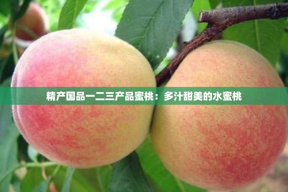 精產國品一二三產品蜜桃：多汁甜美的水蜜桃