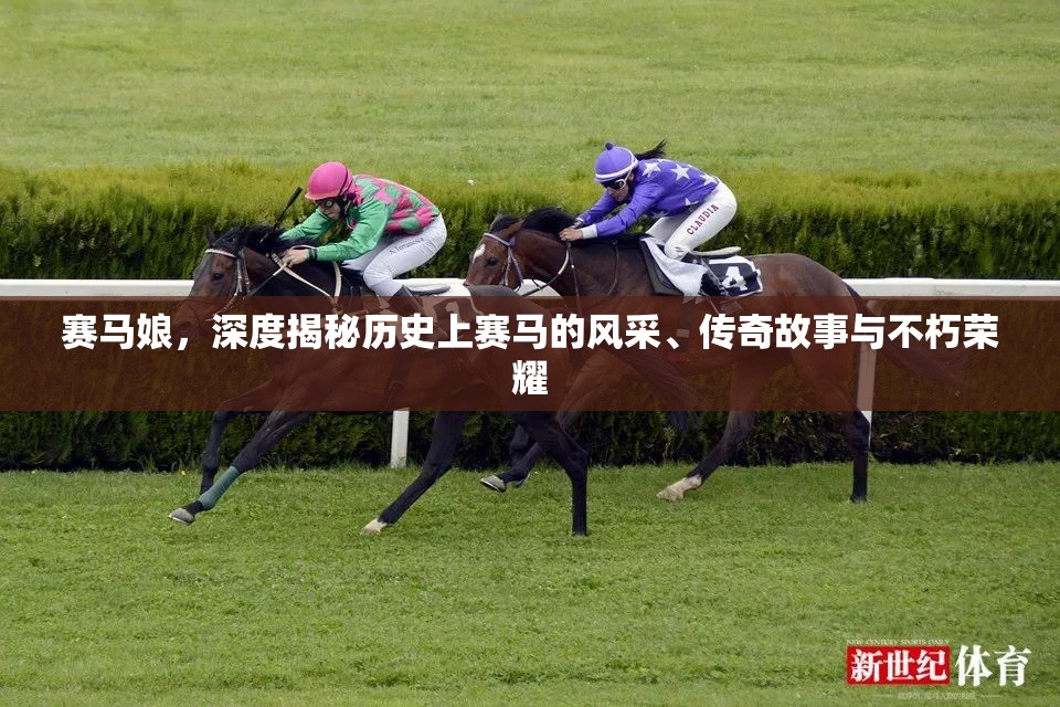 賽馬娘，深度揭秘歷史上賽馬的風(fēng)采、傳奇故事與不朽榮耀