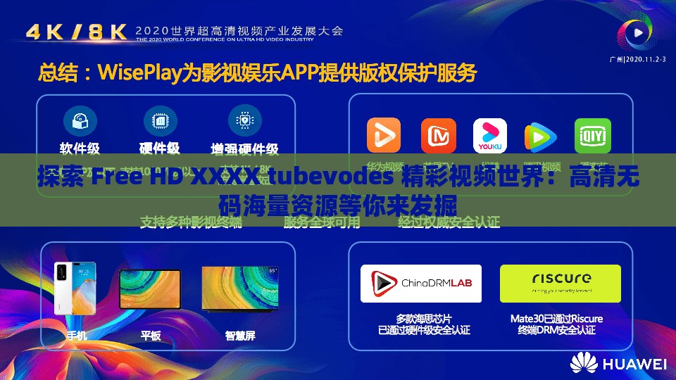 探索 Free HD XXXX tubevodes 精彩視頻世界：高清無碼海量資源等你來發(fā)掘