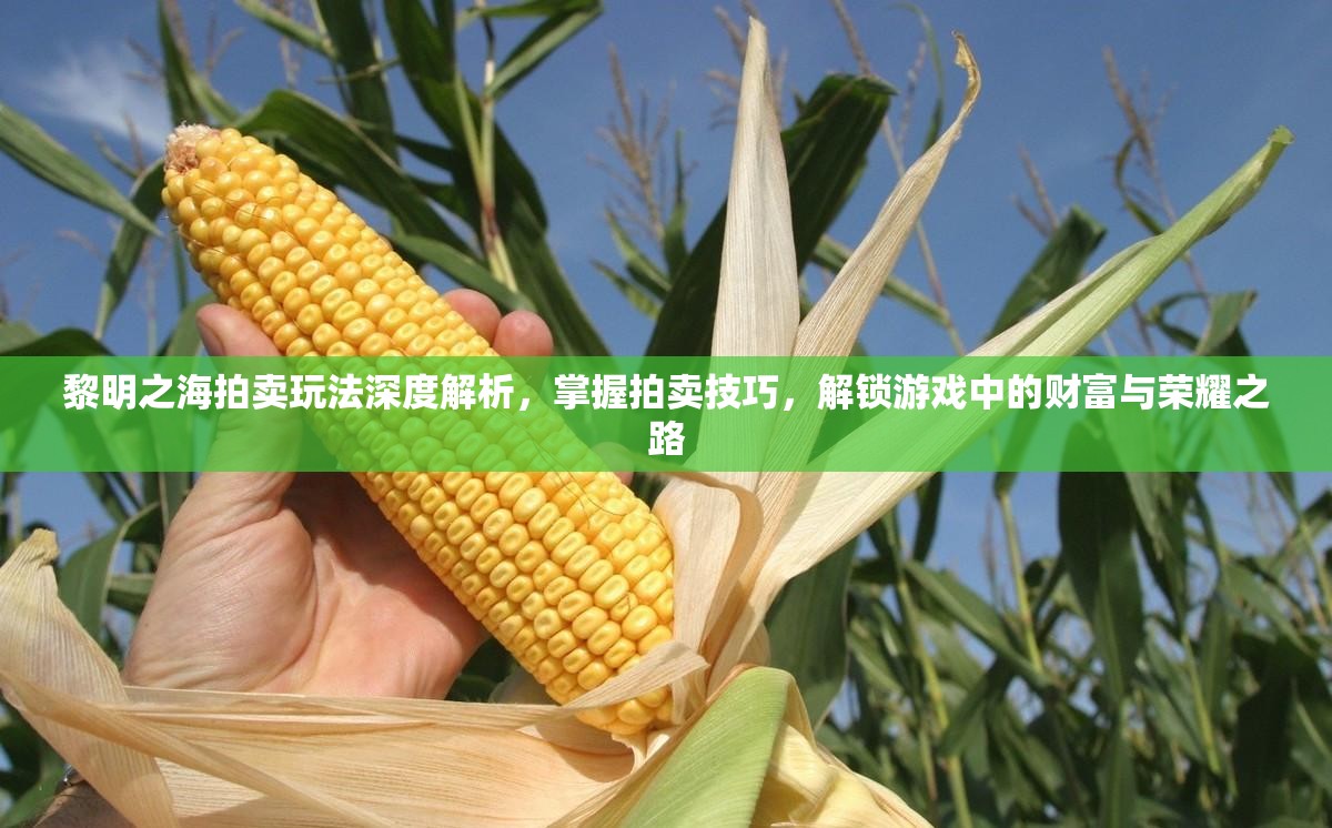 黎明之海拍賣玩法深度解析，掌握拍賣技巧，解鎖游戲中的財(cái)富與榮耀之路