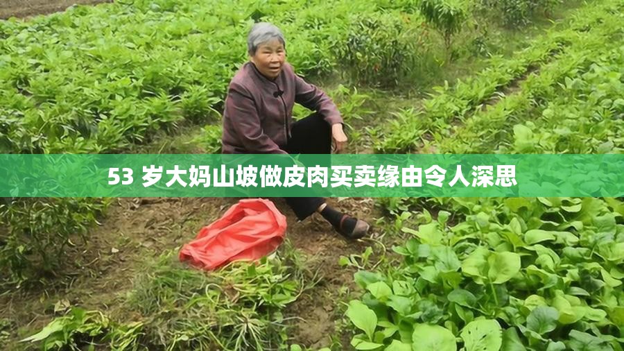 53 歲大媽山坡做皮肉買賣緣由令人深思