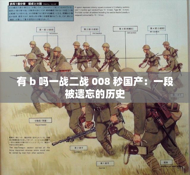 有 b 嗎一戰(zhàn)二戰(zhàn) 008 秒國產(chǎn)：一段被遺忘的歷史