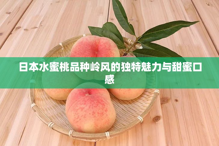 日本水蜜桃品種嶺風(fēng)的獨(dú)特魅力與甜蜜口感