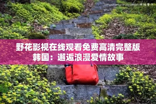 野花影視在線觀看免費(fèi)高清完整版韓國(guó)：邂逅浪漫愛情故事