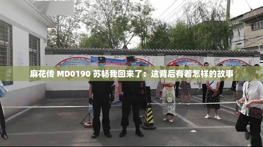 麻花傳 MD0190 蘇暢我回來(lái)了：這背后有著怎樣的故事