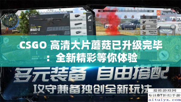 CSGO 高清大片蘑菇已升級完畢：全新精彩等你體驗(yàn)
