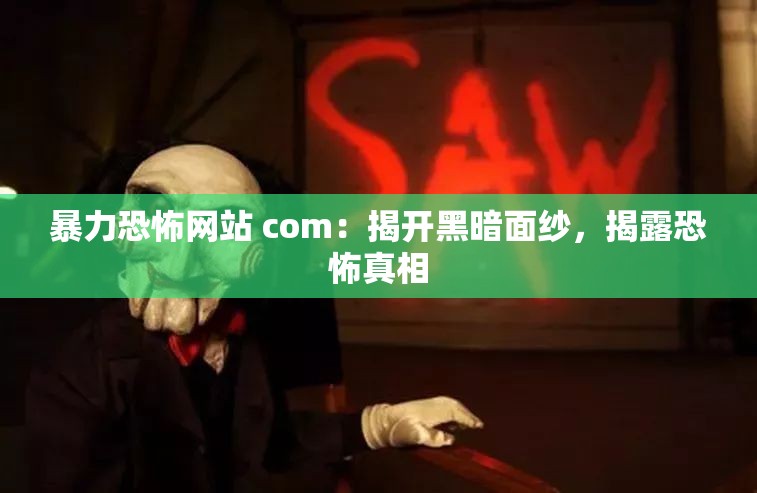 暴力恐怖網(wǎng)站 com：揭開黑暗面紗，揭露恐怖真相