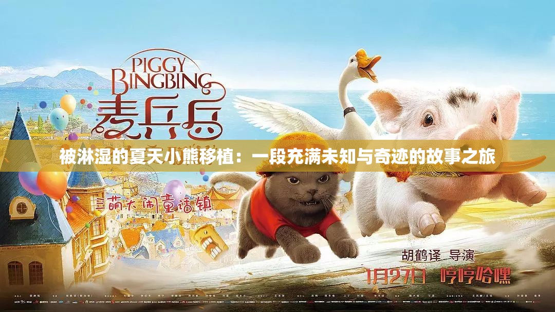 被淋濕的夏天小熊移植：一段充滿未知與奇跡的故事之旅