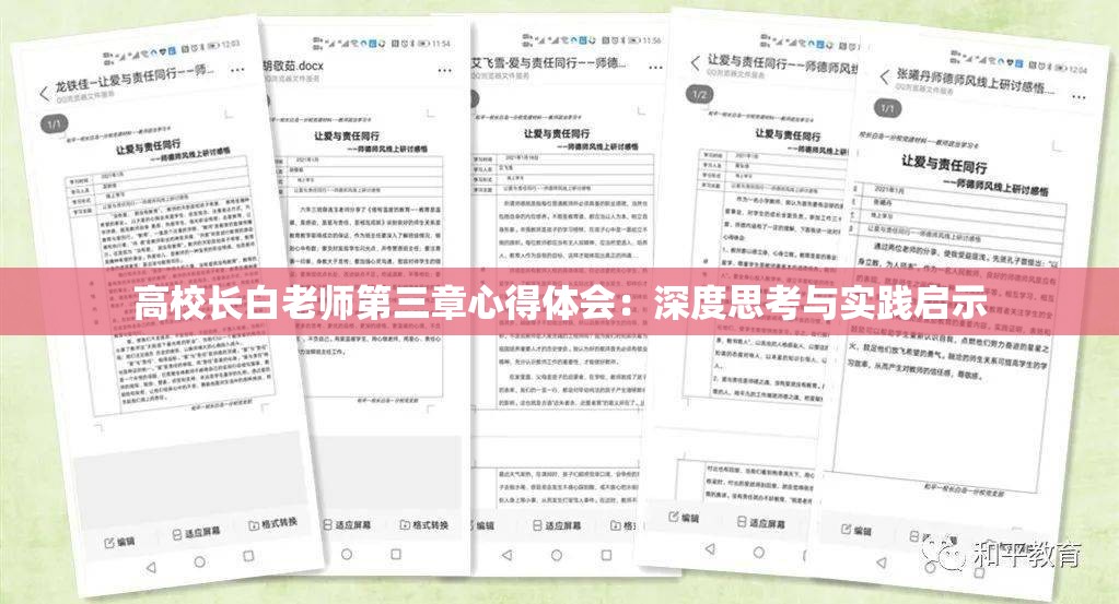 高校長白老師第三章心得體會(huì)：深度思考與實(shí)踐啟示