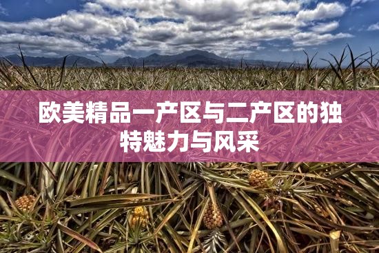 歐美精品一產(chǎn)區(qū)與二產(chǎn)區(qū)的獨特魅力與風采
