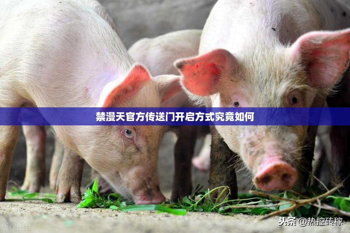 禁漫天官方傳送門開啟方式究竟如何