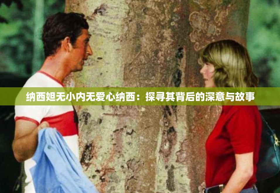 納西妲無小內(nèi)無愛心納西：探尋其背后的深意與故事
