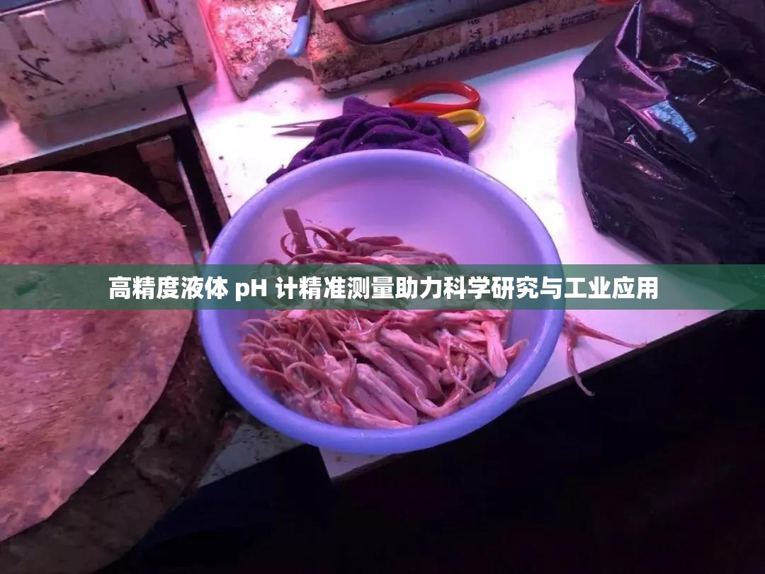 高精度液體 pH 計(jì)精準(zhǔn)測量助力科學(xué)研究與工業(yè)應(yīng)用