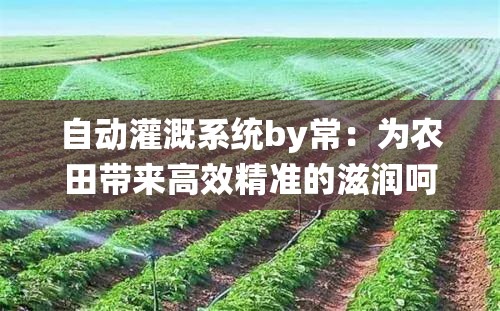 自動(dòng)灌溉系統(tǒng)by常：為農(nóng)田帶來(lái)高效精準(zhǔn)的滋潤(rùn)呵護(hù)