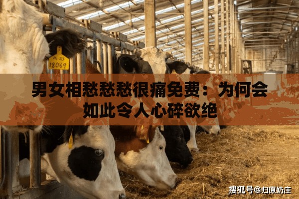 男女相愁愁愁很痛免費(fèi)：為何會(huì)如此令人心碎欲絕
