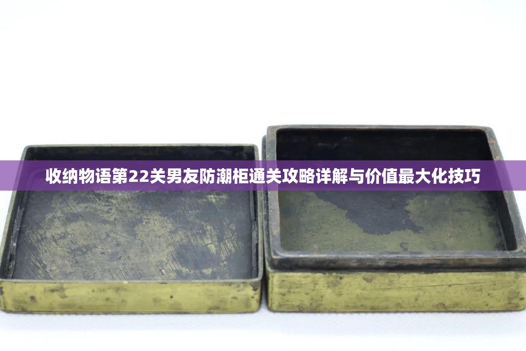 收納物語(yǔ)第22關(guān)男友防潮柜通關(guān)攻略詳解與價(jià)值最大化技巧