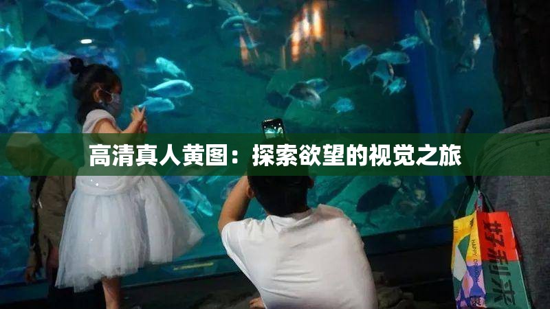 高清真人黃圖：探索欲望的視覺(jué)之旅