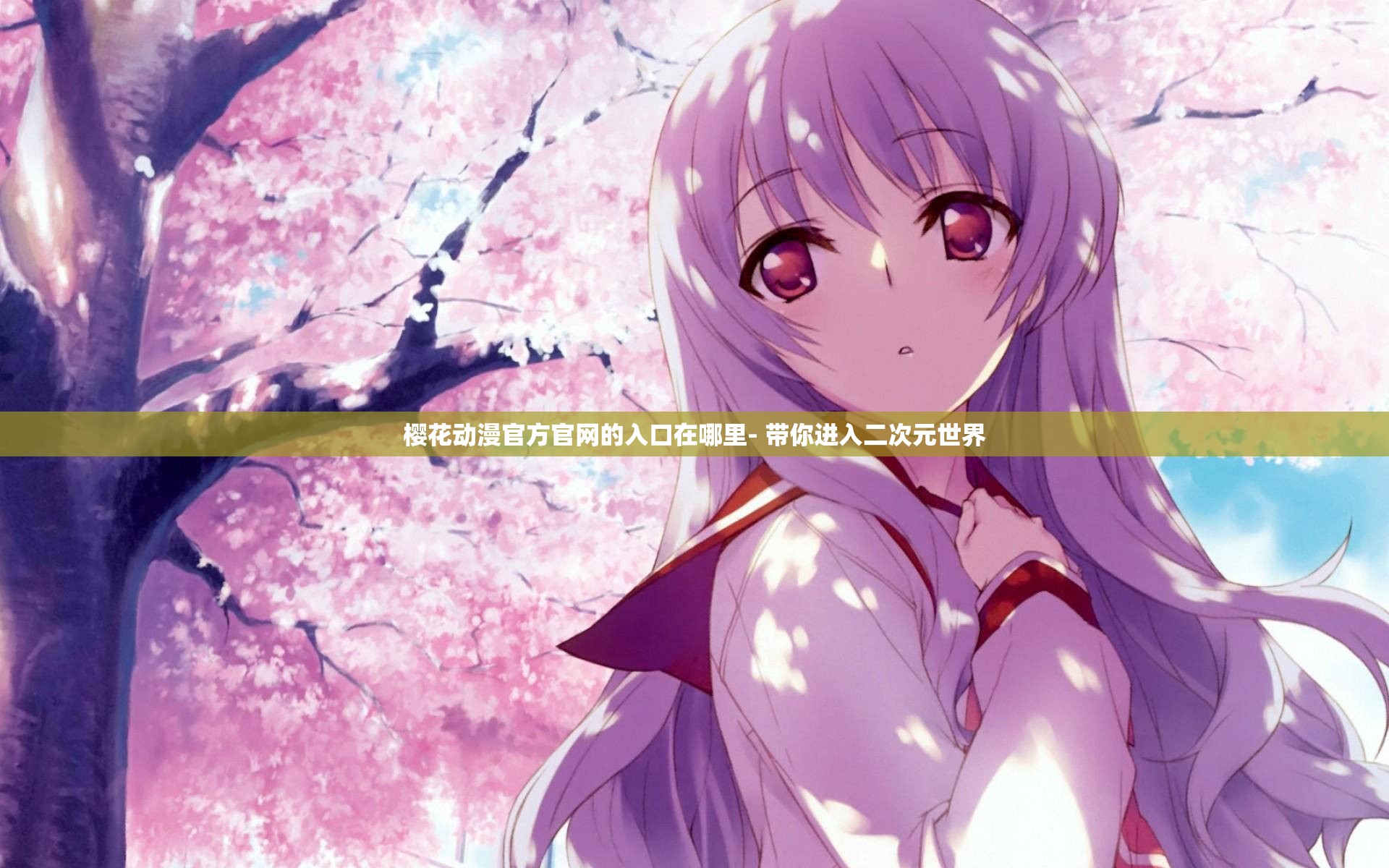 櫻花動漫官方官網(wǎng)的入口在哪里- 帶你進入二次元世界