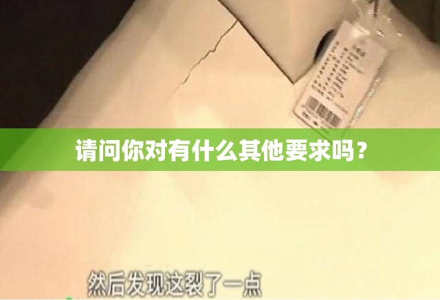 請問你對有什么其他要求嗎？
