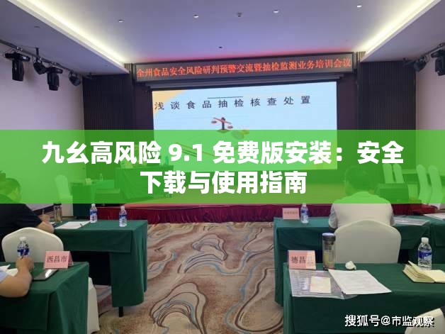 九幺高風(fēng)險(xiǎn) 9.1 免費(fèi)版安裝：安全下載與使用指南