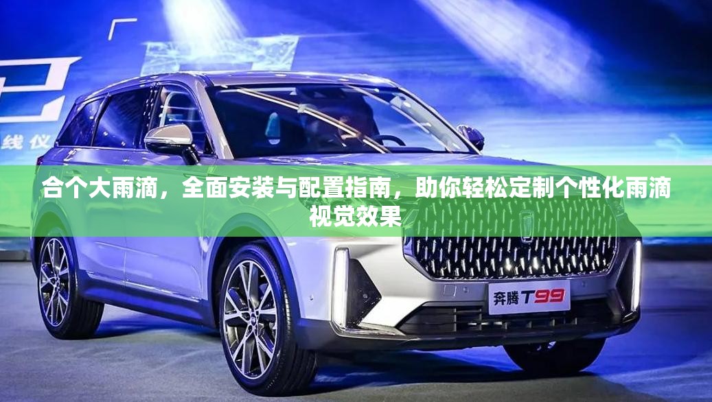 合個(gè)大雨滴，全面安裝與配置指南，助你輕松定制個(gè)性化雨滴視覺效果