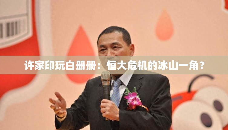許家印玩白冊冊：恒大危機的冰山一角？
