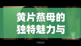 黃片燕母的獨特魅力與不凡經(jīng)歷