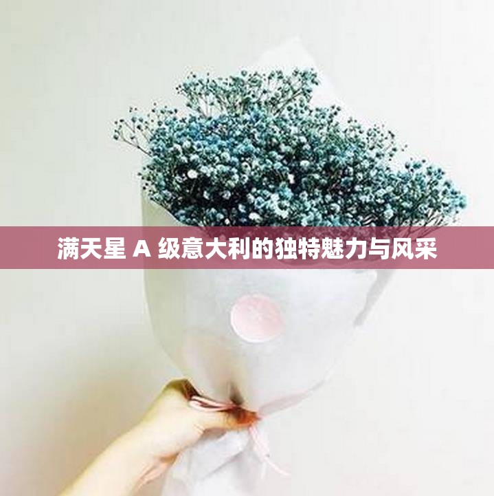 滿天星 A 級意大利的獨特魅力與風采