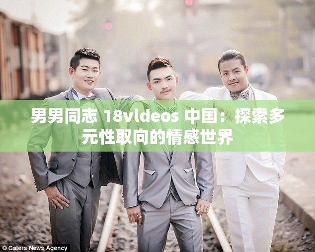 男男同志 18vldeos 中國：探索多元性取向的情感世界
